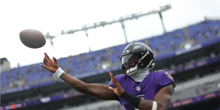 Baltimore Ravens plan 1000-panel solar project at NFL stadium