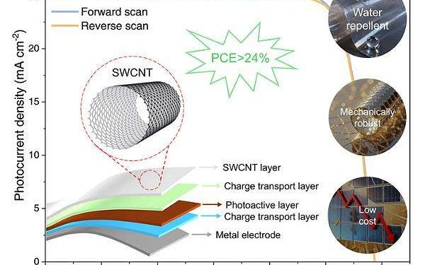 Carbon nanotube films boost flexible perovskite solar module performance