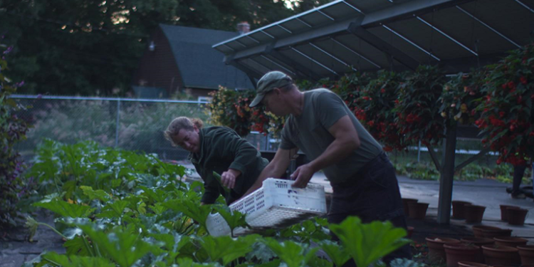 Agrivoltaics developer brings Stanford modeling platform in-house to build better solar + crops