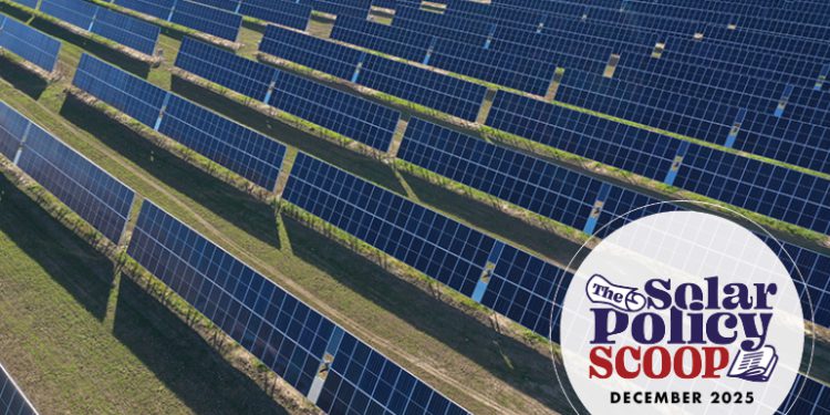 The Solar Policy Scoop: December 2025