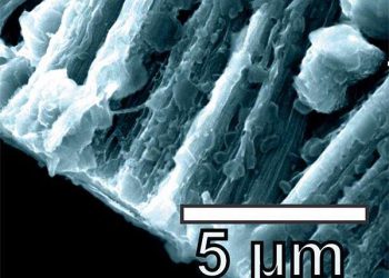 Redesigned carbon framework boosts battery safety and power