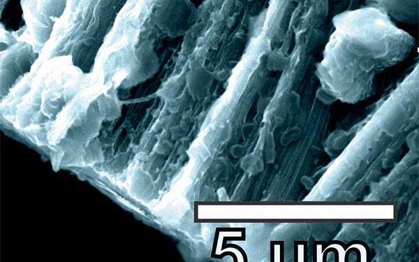 Redesigned carbon framework boosts battery safety and power