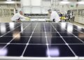 Domestic solar panel manufacturing hopeful Maxeon shut out of market