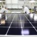 Domestic solar panel manufacturing hopeful Maxeon shut out of market