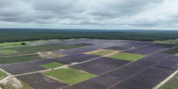 Duke Energy Florida brings online two new solar projects