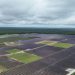 Duke Energy Florida brings online two new solar projects