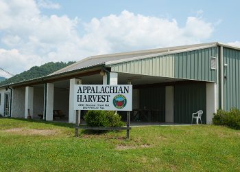 Google awards grant for community-resilience solar microgrids in Virginia