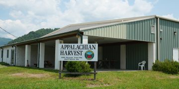 Google awards grant for community-resilience solar microgrids in Virginia