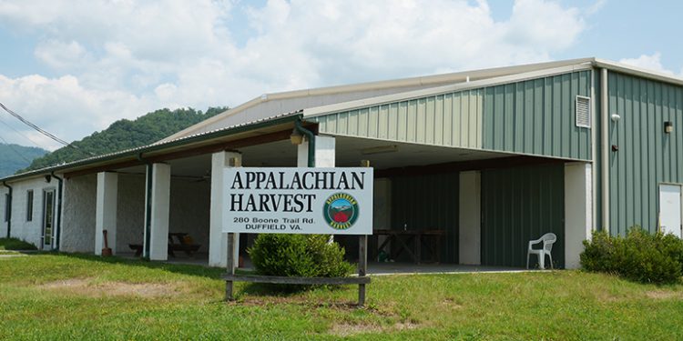 Google awards grant for community-resilience solar microgrids in Virginia