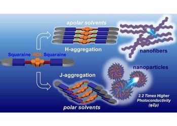 Self assembling molecule builds better organic solar cell junctions