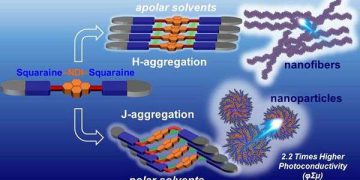 Self assembling molecule builds better organic solar cell junctions
