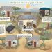 Game theory study maps pathways for rural solar prosumers in China
