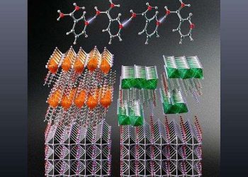 Molecular velcro coating boosts perovskite solar cell durability and efficiency
