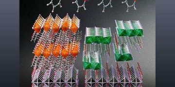 Molecular velcro coating boosts perovskite solar cell durability and efficiency