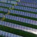 150-MW solar project will be Virginia county’s primary energy source