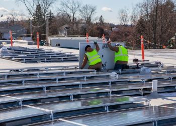Nearly every state actively pursued solar policies in 2025