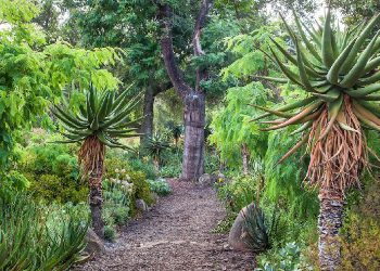 Refurbished batteries supply off-grid power to California nature preserve