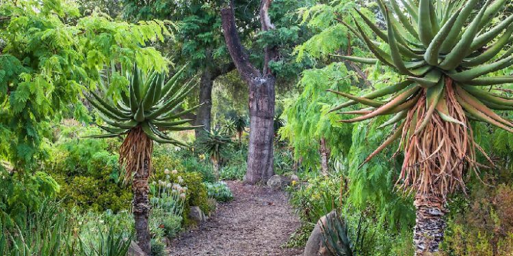 Refurbished batteries supply off-grid power to California nature preserve
