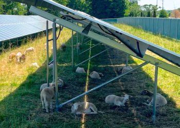 GreenSpark, Encore bring online 13-MW agrivoltaic community solar portfolio