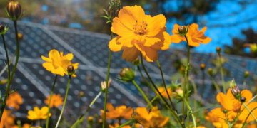 Rewritten Massachusetts climate bill good for solar but lacks long-term plan