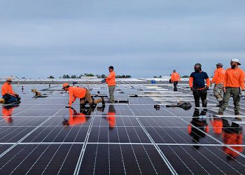 Freedom Power taps Otovo for warranty service on commercial solar project portfolio