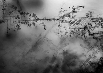 Defect networks boost performance of next generation perovskite solar cells