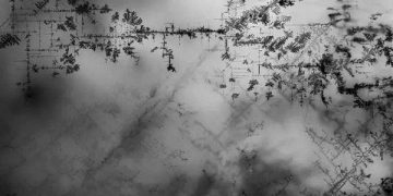 Defect networks boost performance of next generation perovskite solar cells