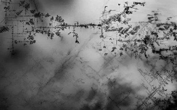 Defect networks boost performance of next generation perovskite solar cells