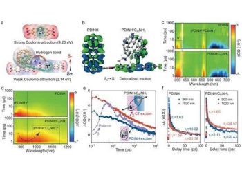 Hydrogen bond design advances solar water oxidation efficiency