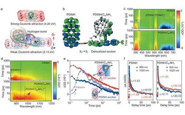 Hydrogen bond design advances solar water oxidation efficiency