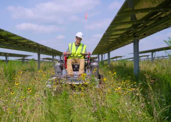 Treasury issues FEOC guidance for energy project developers and domestic manufacturers