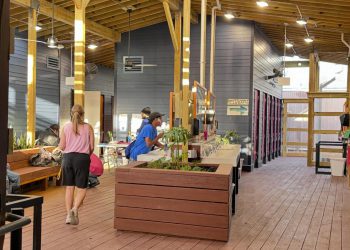 New Orleans day shelter to benefit from 44-kW solar array