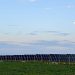 EDP Renewables’ 150-MW Illinois solar project supports Microsoft