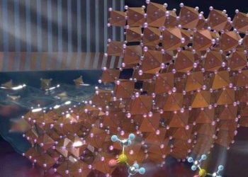 Crystal seed method boosts inverted perovskite solar cells