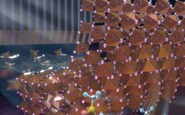 Crystal seed method boosts inverted perovskite solar cells