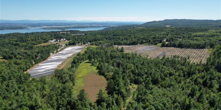 New Energy Equity brings online 7-MW New York community solar array