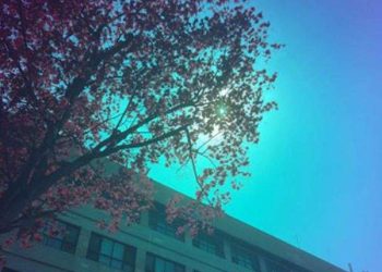 AI driven coatings enable full color solar windows without losing power