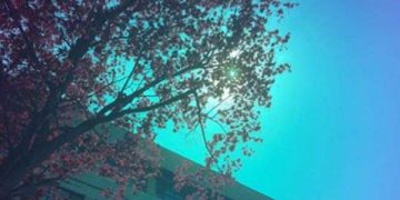 AI driven coatings enable full color solar windows without losing power