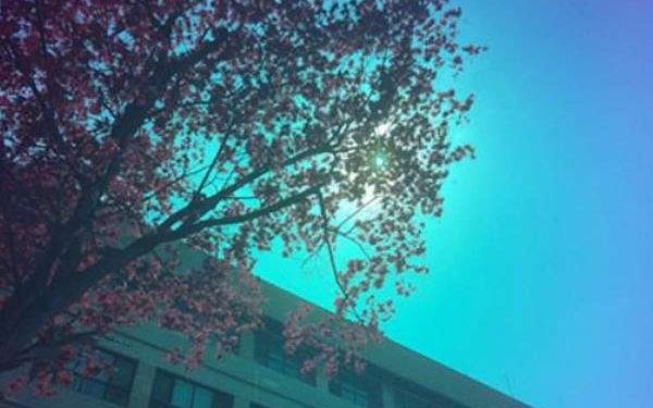 AI driven coatings enable full color solar windows without losing power