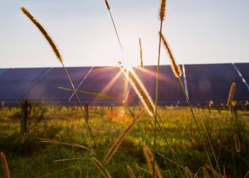 UMass study finds states approve most solar projects in under 1 year