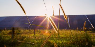 UMass study finds states approve most solar projects in under 1 year