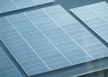 Best Solar Company vs Local Installers in Faridabad: What You Must Kno