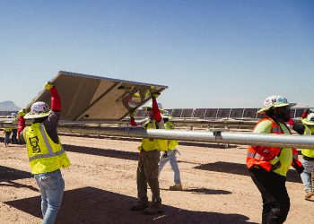 Renewables expect continued growth while fossil fuels decline