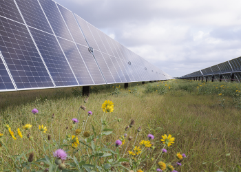 Enbridge developing 365-MW solar + storage project for Meta data centers