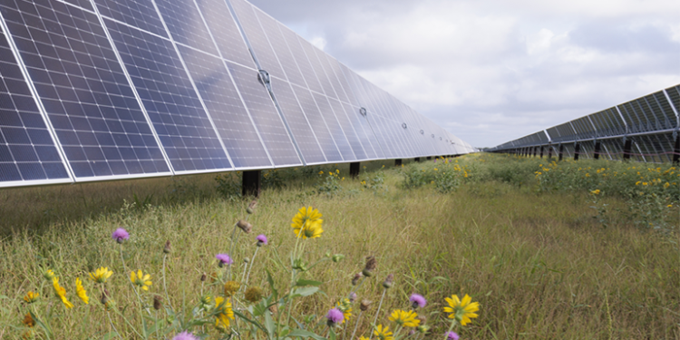 Enbridge developing 365-MW solar + storage project for Meta data centers