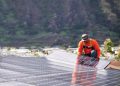Hawaii legislators voting on bill threatening state’s solar market