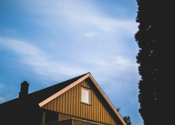 What homeowners should do after Freedom Forever filed for bankruptcy