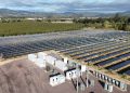 Sonoma CCA matches solar and storage capacities on latest dual project