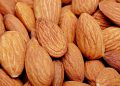 Renewable America builds 1.9-MW solar portfolio for California nut company