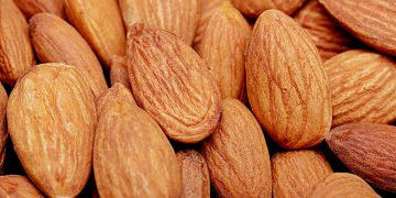 Renewable America builds 1.9-MW solar portfolio for California nut company